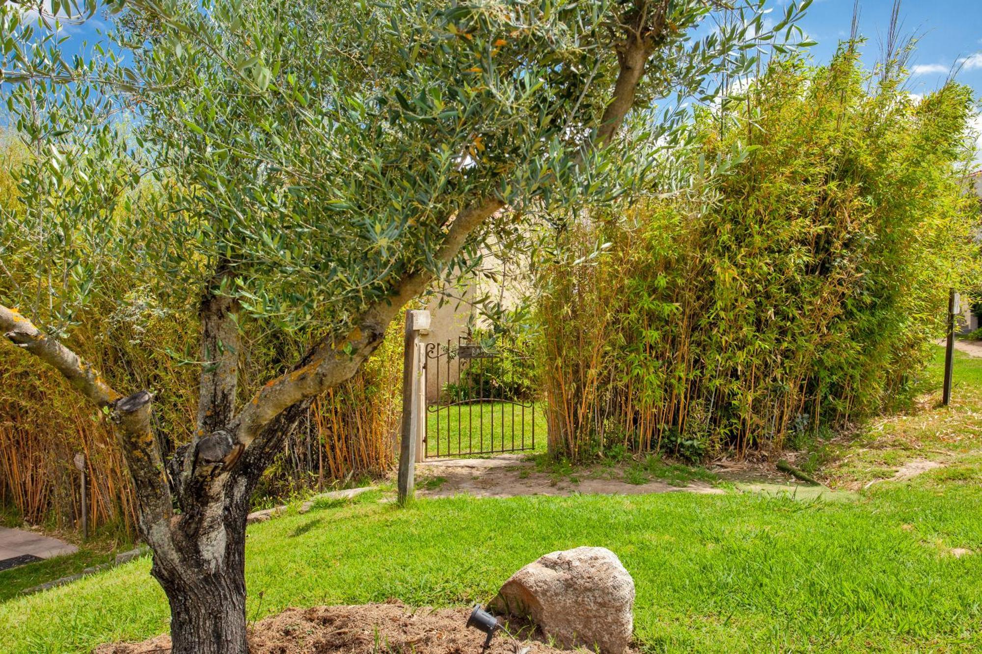 Residence Acquavital Calvi  Zewnętrze zdjęcie